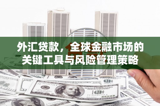 莿桐外汇贷款，全球金融市场的关键工具与风险管理策略