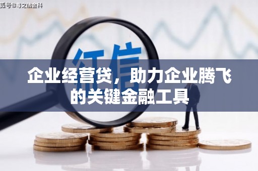 莿桐企业经营贷，助力企业腾飞的关键金融工具