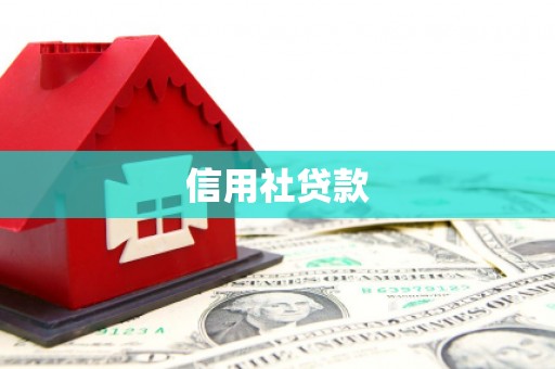 莿桐信用社贷款