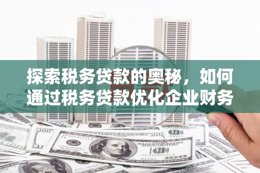莿桐探索税务贷款的奥秘，如何通过税务贷款优化企业财务