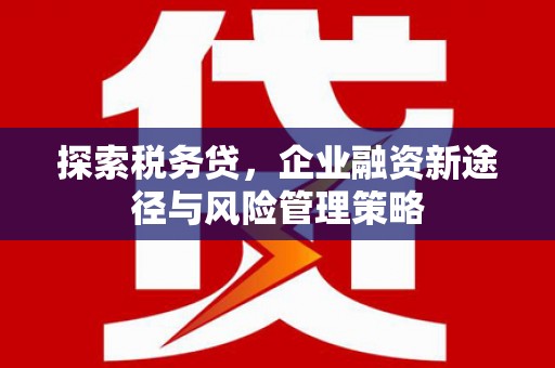 莿桐探索税务贷，企业融资新途径与风险管理策略