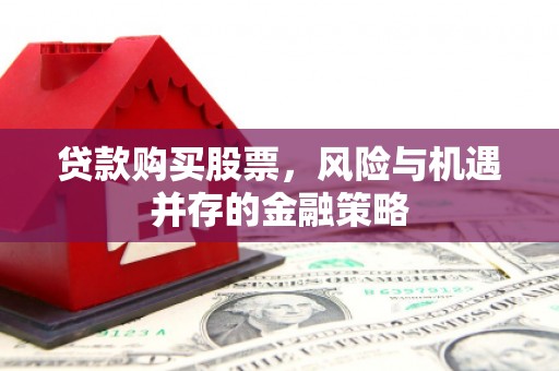 莿桐贷款购买股票，风险与机遇并存的金融策略