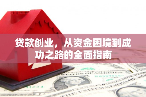 莿桐贷款创业，从资金困境到成功之路的全面指南