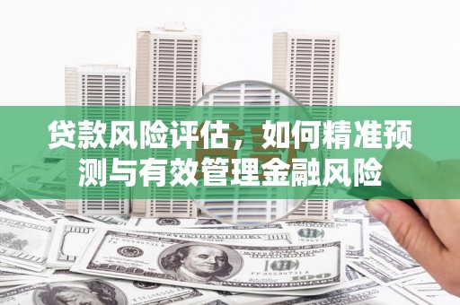 莿桐贷款风险评估，如何精准预测与有效管理金融风险