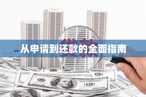 莿桐从申请到还款的全面指南