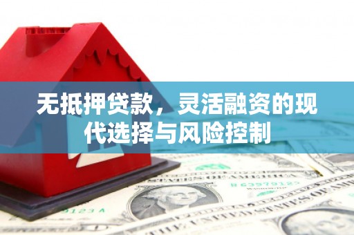 莿桐无抵押贷款，灵活融资的现代选择与风险控制