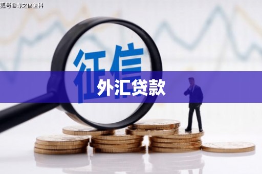 莿桐外汇贷款