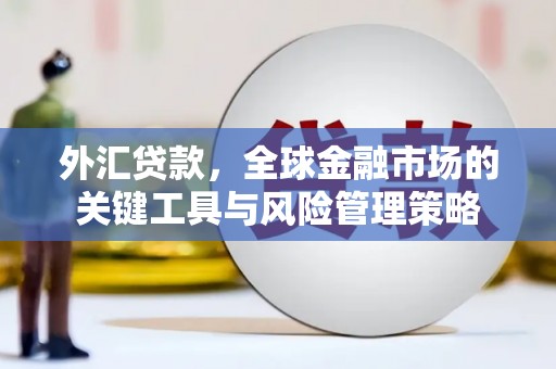 莿桐外汇贷款，全球金融市场的关键工具与风险管理策略