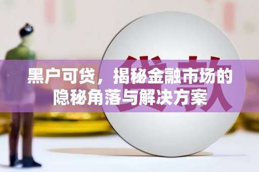 莿桐黑户可贷，揭秘金融市场的隐秘角落与解决方案