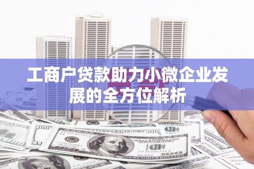 莿桐工商户贷款助力小微企业发展的全方位解析