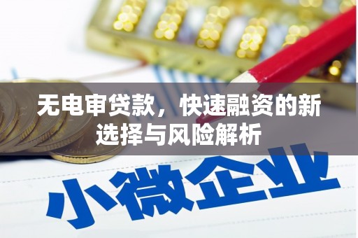 莿桐无电审贷款，快速融资的新选择与风险解析