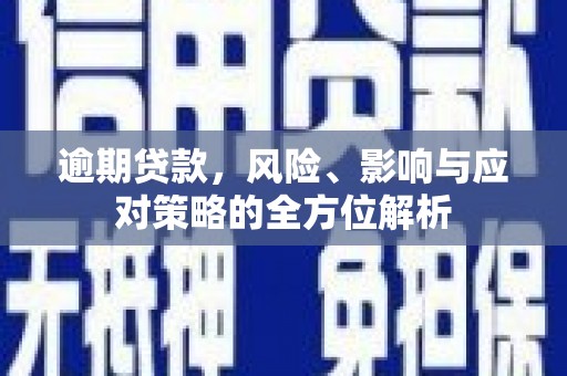 莿桐逾期贷款，风险、影响与应对策略的全方位解析