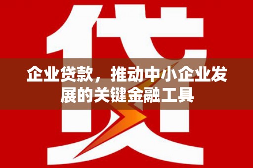 莿桐企业贷款，推动中小企业发展的关键金融工具