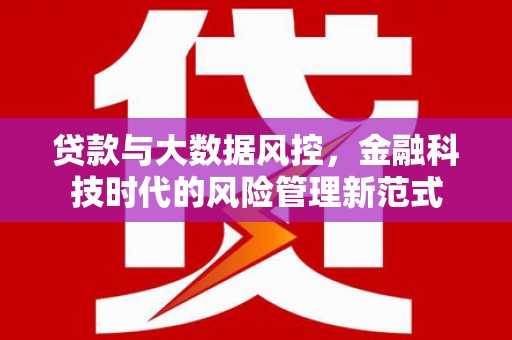 莿桐贷款与大数据风控，金融科技时代的风险管理新范式