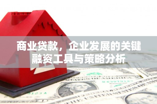 莿桐商业贷款，企业发展的关键融资工具与策略分析