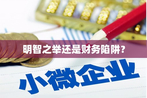 莿桐明智之举还是财务陷阱？