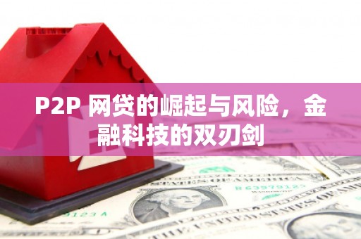 莿桐P2P 网贷的崛起与风险，金融科技的双刃剑