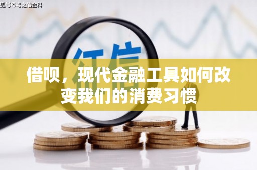 莿桐借呗，现代金融工具如何改变我们的消费习惯