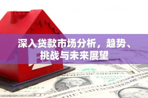 莿桐深入贷款市场分析，趋势、挑战与未来展望