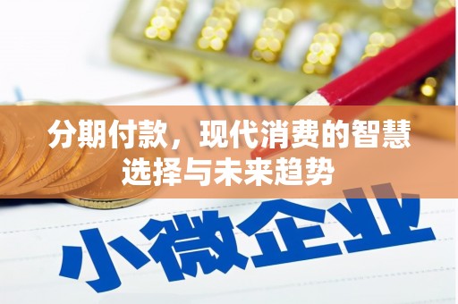 莿桐分期付款，现代消费的智慧选择与未来趋势