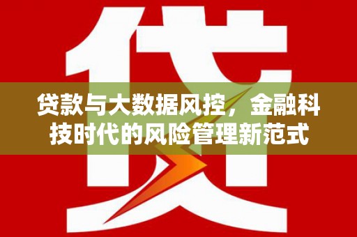 莿桐贷款与大数据风控，金融科技时代的风险管理新范式