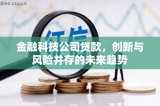 莿桐金融科技公司贷款，创新与风险并存的未来趋势