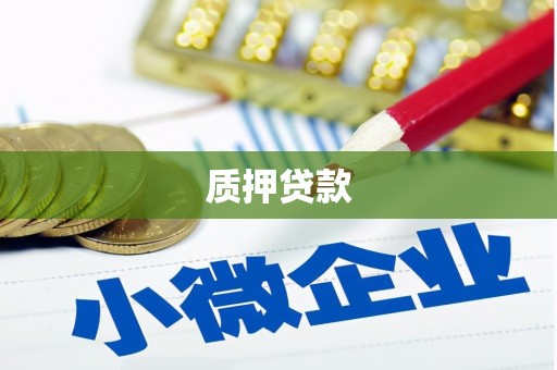 莿桐质押贷款