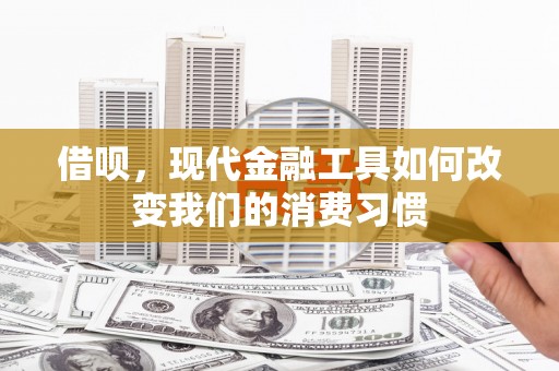 莿桐借呗，现代金融工具如何改变我们的消费习惯