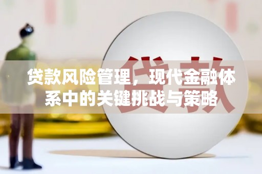 莿桐贷款风险管理，现代金融体系中的关键挑战与策略