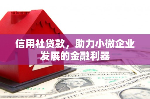 莿桐信用社贷款，助力小微企业发展的金融利器