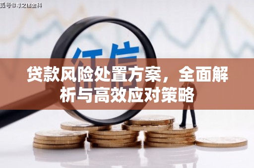 莿桐贷款风险处置方案，全面解析与高效应对策略