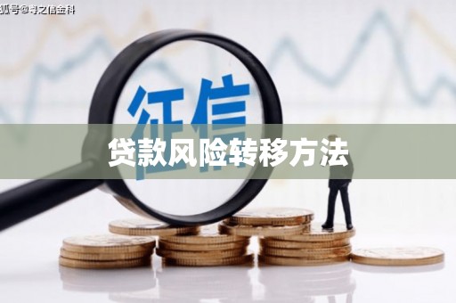 莿桐贷款风险转移方法