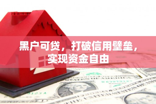 莿桐黑户可贷，打破信用壁垒，实现资金自由