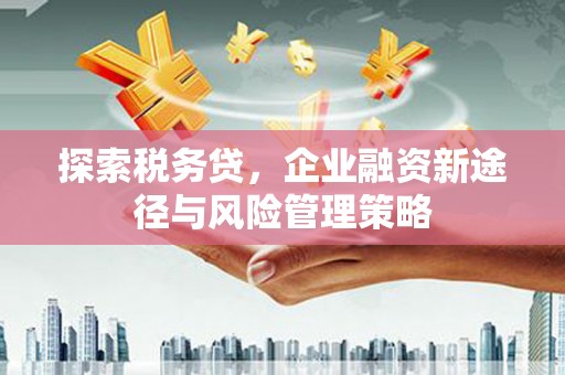 莿桐探索税务贷，企业融资新途径与风险管理策略