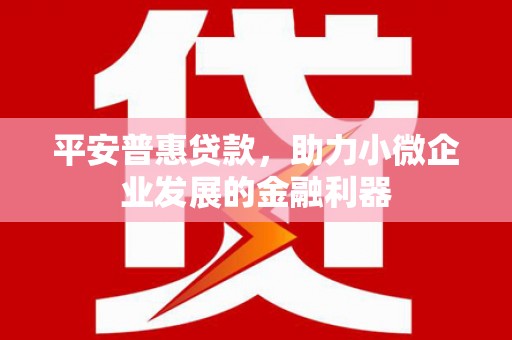 莿桐平安普惠贷款，助力小微企业发展的金融利器