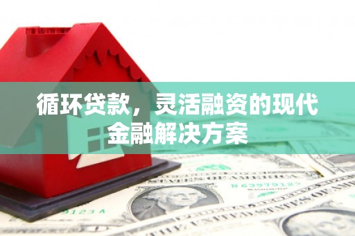 莿桐循环贷款，灵活融资的现代金融解决方案