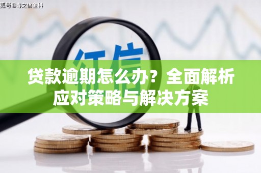 莿桐贷款逾期怎么办？全面解析应对策略与解决方案