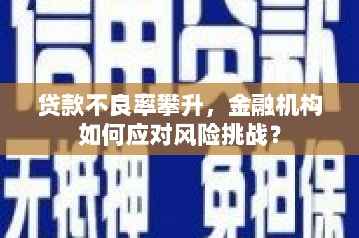莿桐贷款不良率攀升，金融机构如何应对风险挑战？
