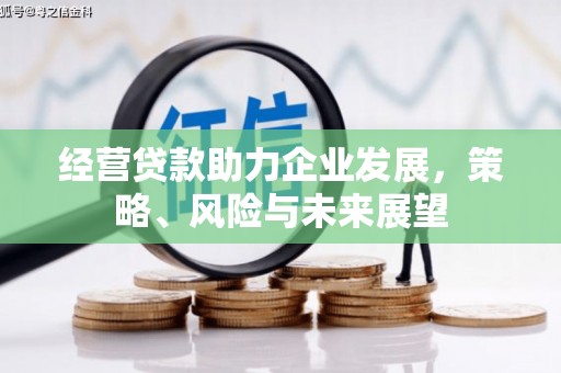 莿桐经营贷款助力企业发展，策略、风险与未来展望