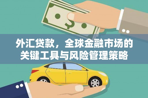 莿桐外汇贷款，全球金融市场的关键工具与风险管理策略