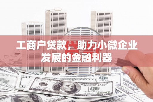 莿桐工商户贷款，助力小微企业发展的金融利器