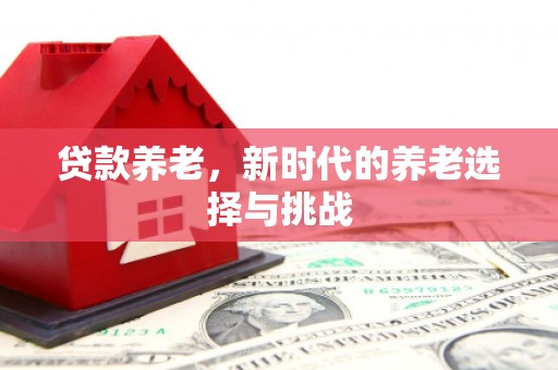 莿桐贷款养老，新时代的养老选择与挑战