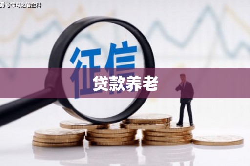 莿桐贷款养老