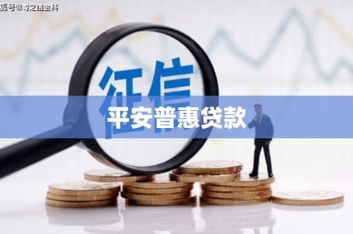 莿桐平安普惠贷款