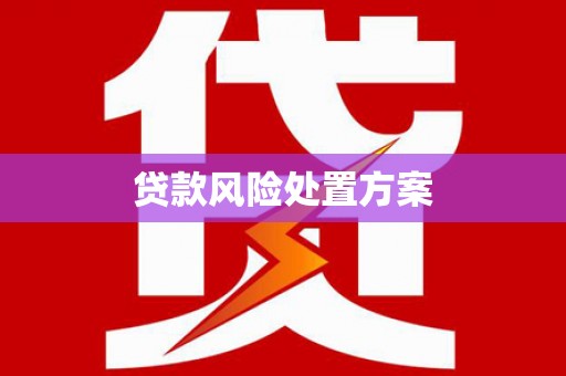 莿桐贷款风险处置方案