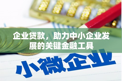 莿桐企业贷款，助力中小企业发展的关键金融工具