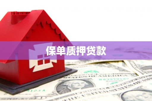 莿桐保单质押贷款