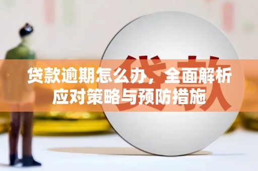 莿桐贷款逾期怎么办，全面解析应对策略与预防措施
