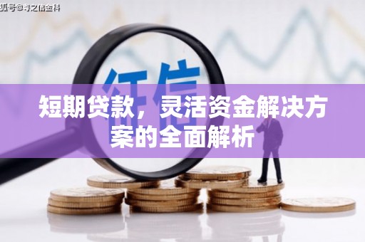 莿桐短期贷款，灵活资金解决方案的全面解析