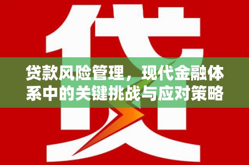 莿桐贷款风险管理，现代金融体系中的关键挑战与应对策略